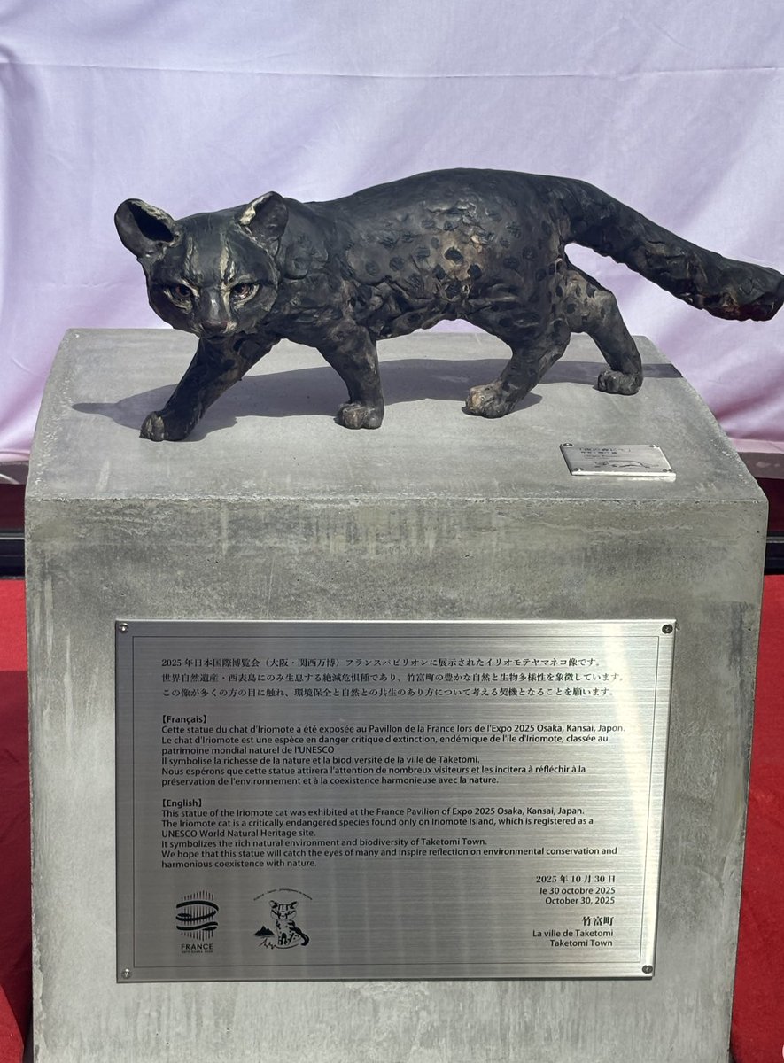 France Expo 2025 Osaka tweet media