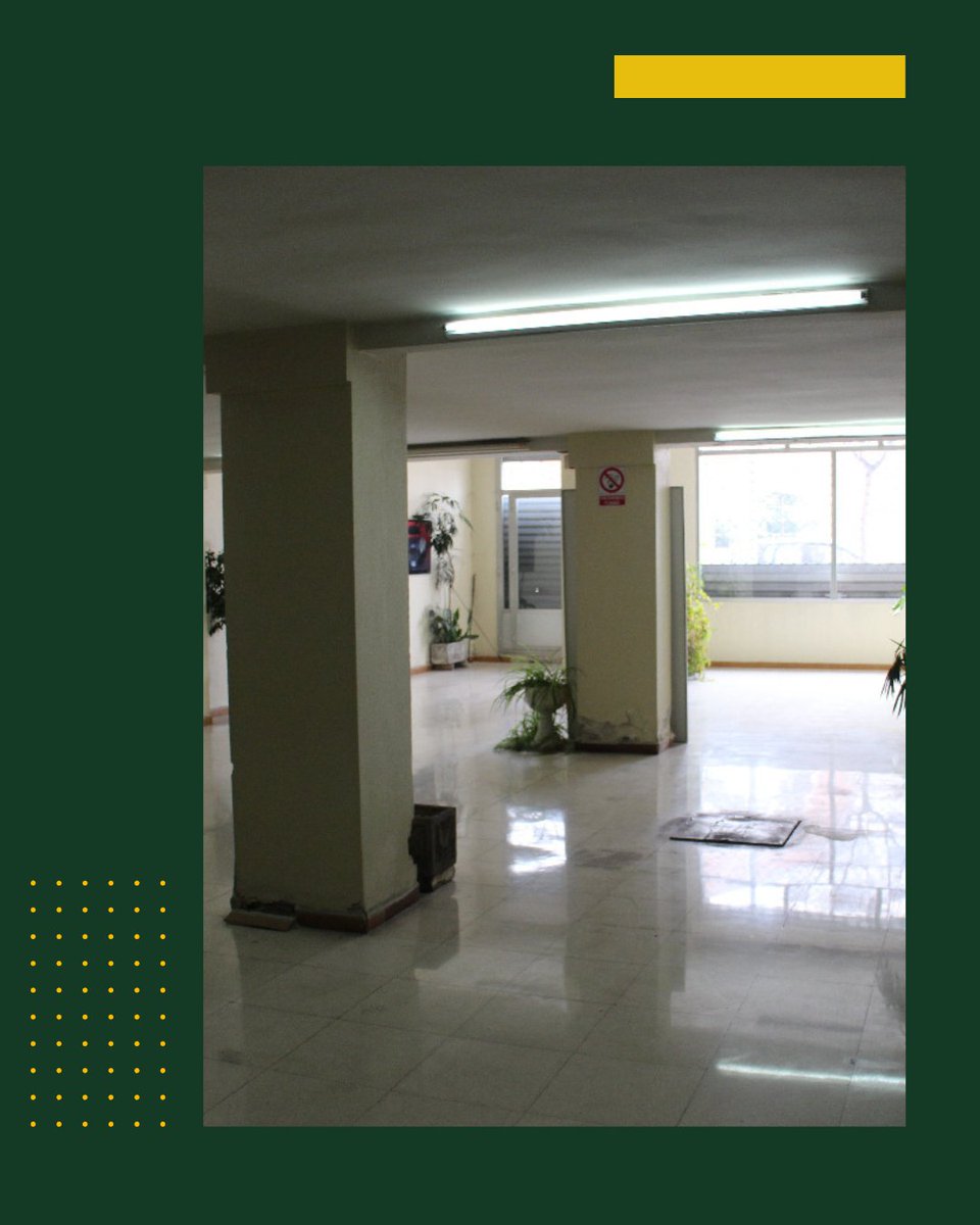 Ker2000Inmo's tweet image. 🏢  Les presentamos un 𝗮𝗺𝗽𝗹𝗶́𝘀𝗶𝗺𝗼 𝗹𝗼𝗰𝗮𝗹 𝗲𝗻 𝗲𝗹 𝗰𝗼𝗿𝗮𝘇𝗼́𝗻 𝗱𝗲 𝗹𝗮 𝗰𝗶𝘂𝗱𝗮𝗱, ideal para múltiples usos gracias a su amplia superficie y excelente distribución. 

 -Con una 𝗳𝗮𝗰𝗵𝗮𝗱𝗮 𝗱𝗲 𝟯𝟮 𝗺𝗲𝘁𝗿𝗼𝘀 y una excepcional visibilidad, se encuentra
