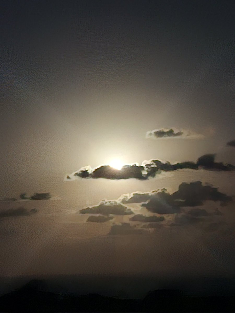 ねねいも 楽天市場】頭部無 いもねじ イモネジ ホーローセット 棒先六角穴付き