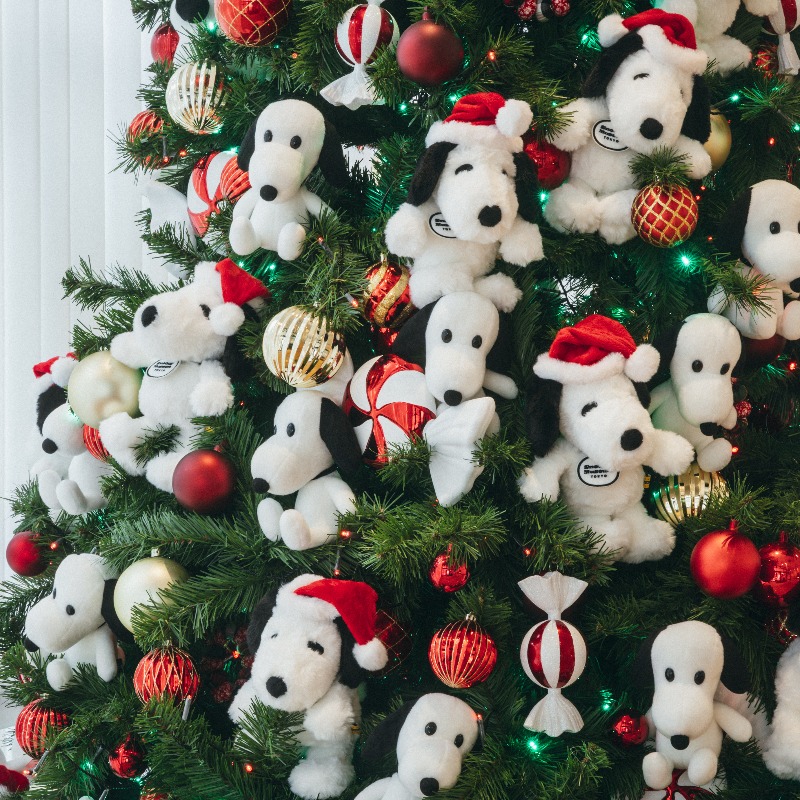 Post by §みぃ§ on X: 行きたい🤩