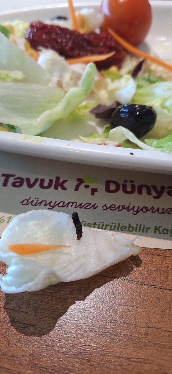Sevgili <a href="/tavuk_dunyasi/">Tavuk Dünyası</a> , bu hoş sürpriz için teşekkür ederim.

Yer: Aydın

<a href="/gidadedektifiTR/">Gıda Dedektifi</a>
