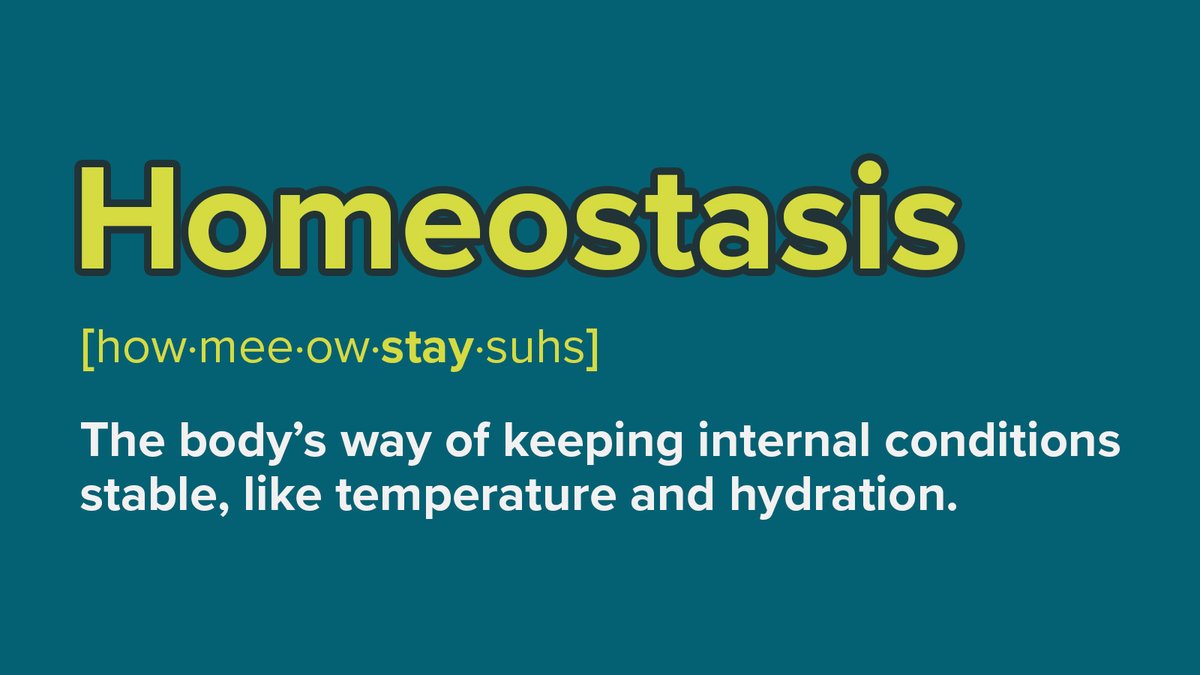 gsc1's tweet image. #ScienceWordOfTheWeek

Homeostasis - The body&apos;s way of keeping internal conditions stable, like temperature and hydration.