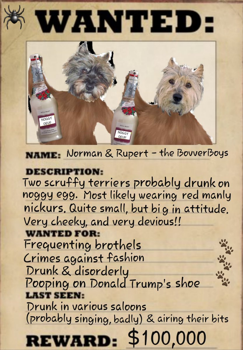 jennystape's tweet photo. Throwback Thursday to the Bovver Cowboys....
#BovverCowboys #BovverBoys #BovverBoysForever #Memories
#ZSCowboyMonth #YeeeHaw
@Norman_Dillon1 @CollieMoxie https://t.co/DC5ZQ3f4sO