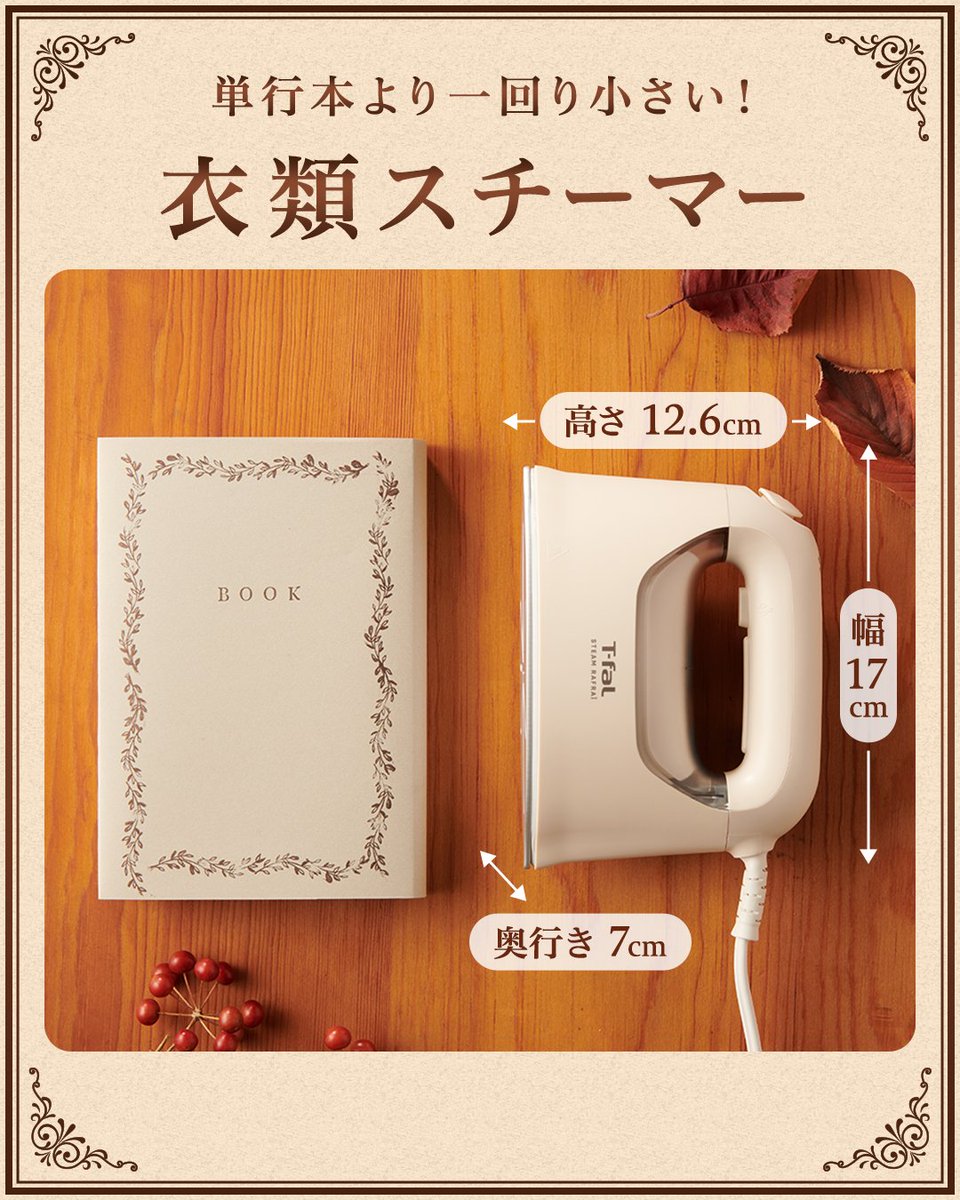 コンパクトで使いやすさ抜群！ スチーム ラフレの魅力