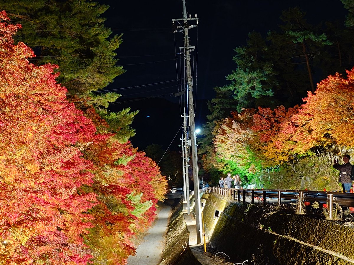 河口湖もみじ祭りなう
