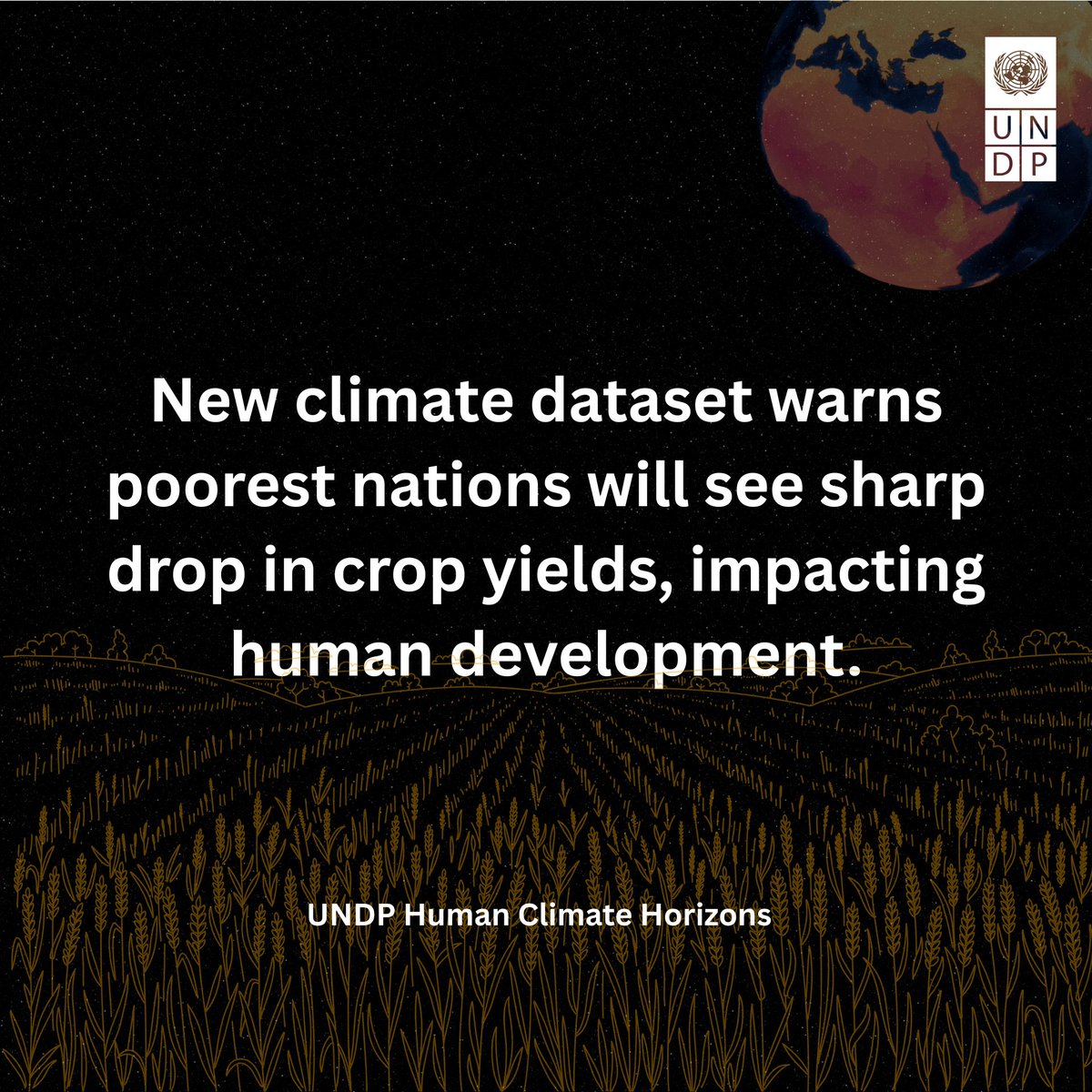 UNDP Brussels tweet media