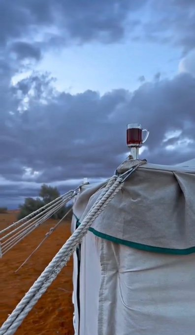 الود بالود…والأيام دائرة…  " ومن جائنا بالندى…بالورد جئناهُ