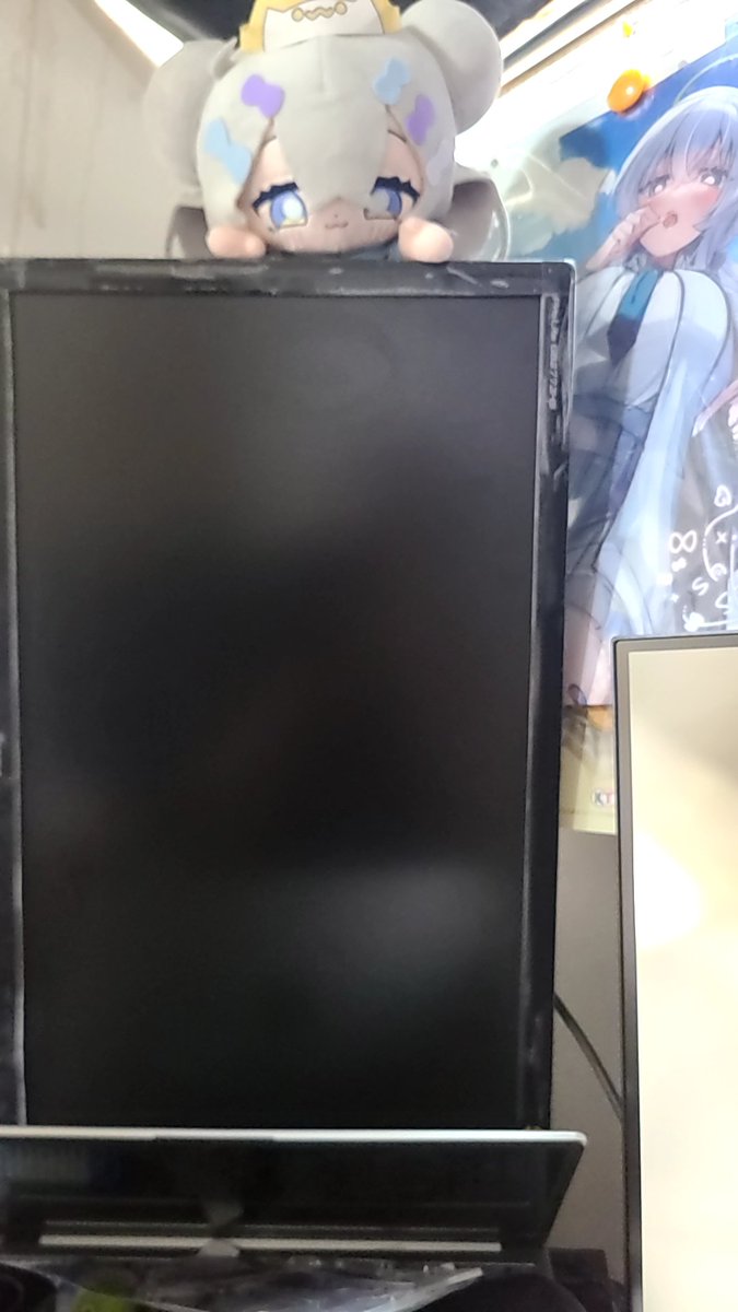 しかしいつみてもこのひょっこりしうしう可愛くないか

たまに周辺の配線いじってたら飛んでくるのが玉に瑕w