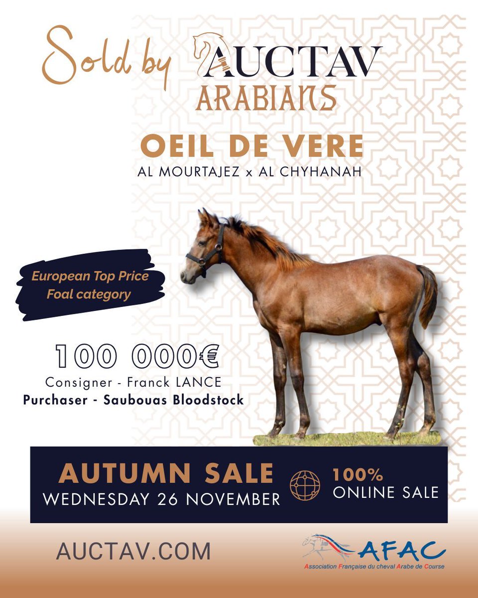 🇬🇧 Œil de Vere made quite an impression at the last Auctav Arabian Sale!
This colt by Al Mourtajez was sold for €100,000 to Saubouas Bloodstock, becoming the European top price in the foal category.
Do you have the foal that could beat the record held by Franck Lance ?