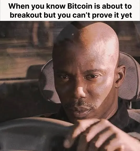 QuickEx_Tweets's tweet image. You can just feel it in your bones. Only Hodlers will survive