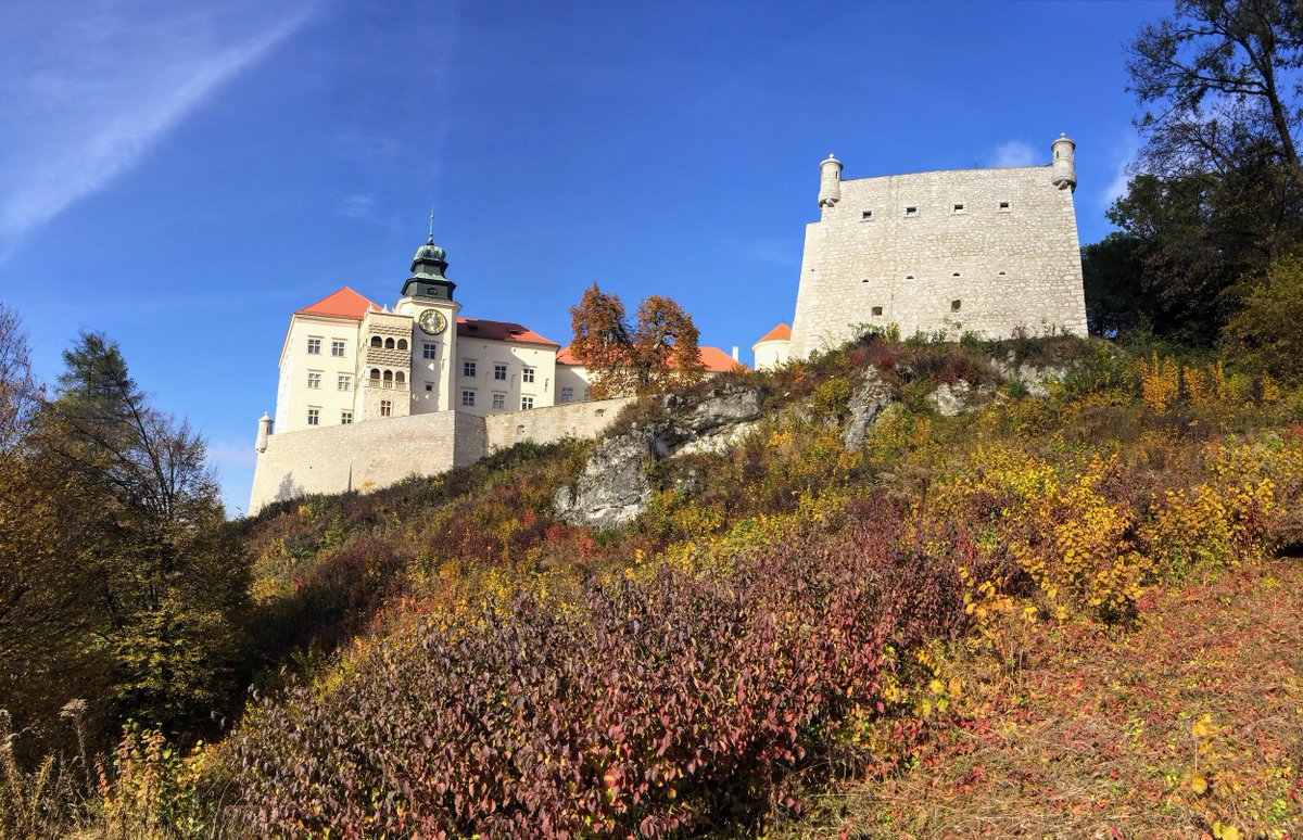Ojców.pl tweet media