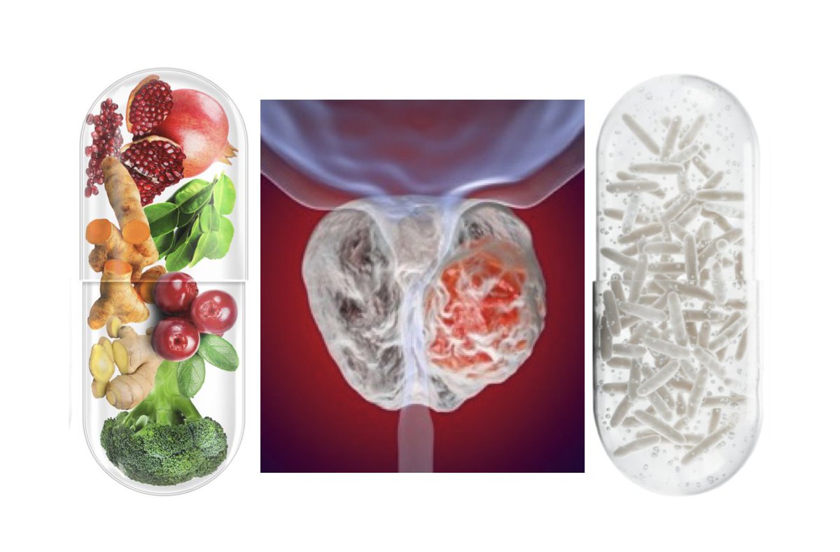 Great news for men with prostate cancer - A landmark scientific study published this week shows that boosting phytochemical rich foods and lactobacillus probiotics slows progression and improves symptoms: keep-healthy.com/prostate-nutri… <a href="/urotoday/">UroToday.com</a>  <a href="/ProstateUK/">Prostate Cancer UK</a> <a href="/prostate/">prostate</a> <a href="/PCR_News/">ProstateCancerResearch</a> <a href="/PCFnews/">Prostate Cancer Foundation</a>