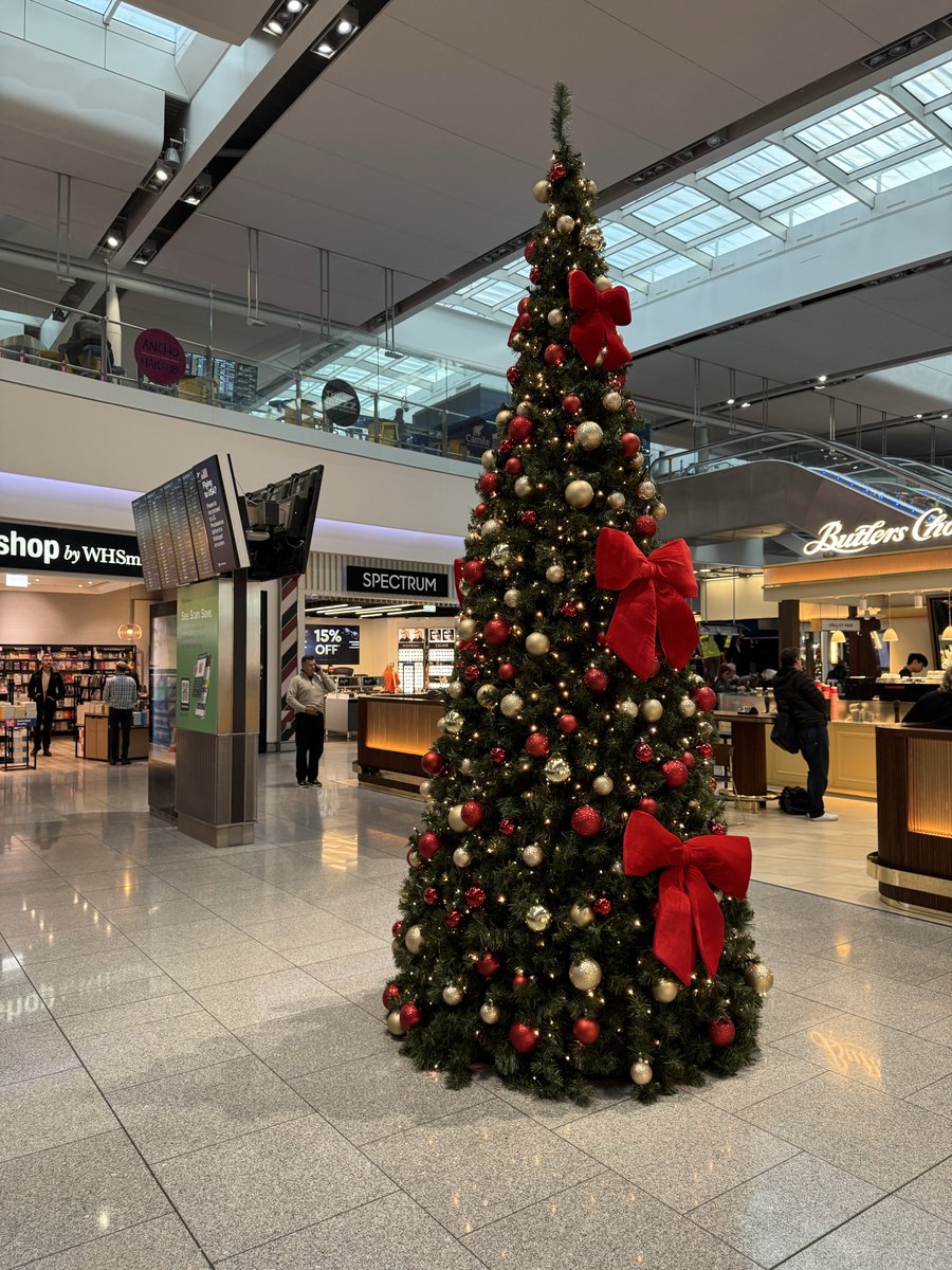 Them: don’t do it

Us: we might

Them: it’s too early

Us: Oops… 

🎄