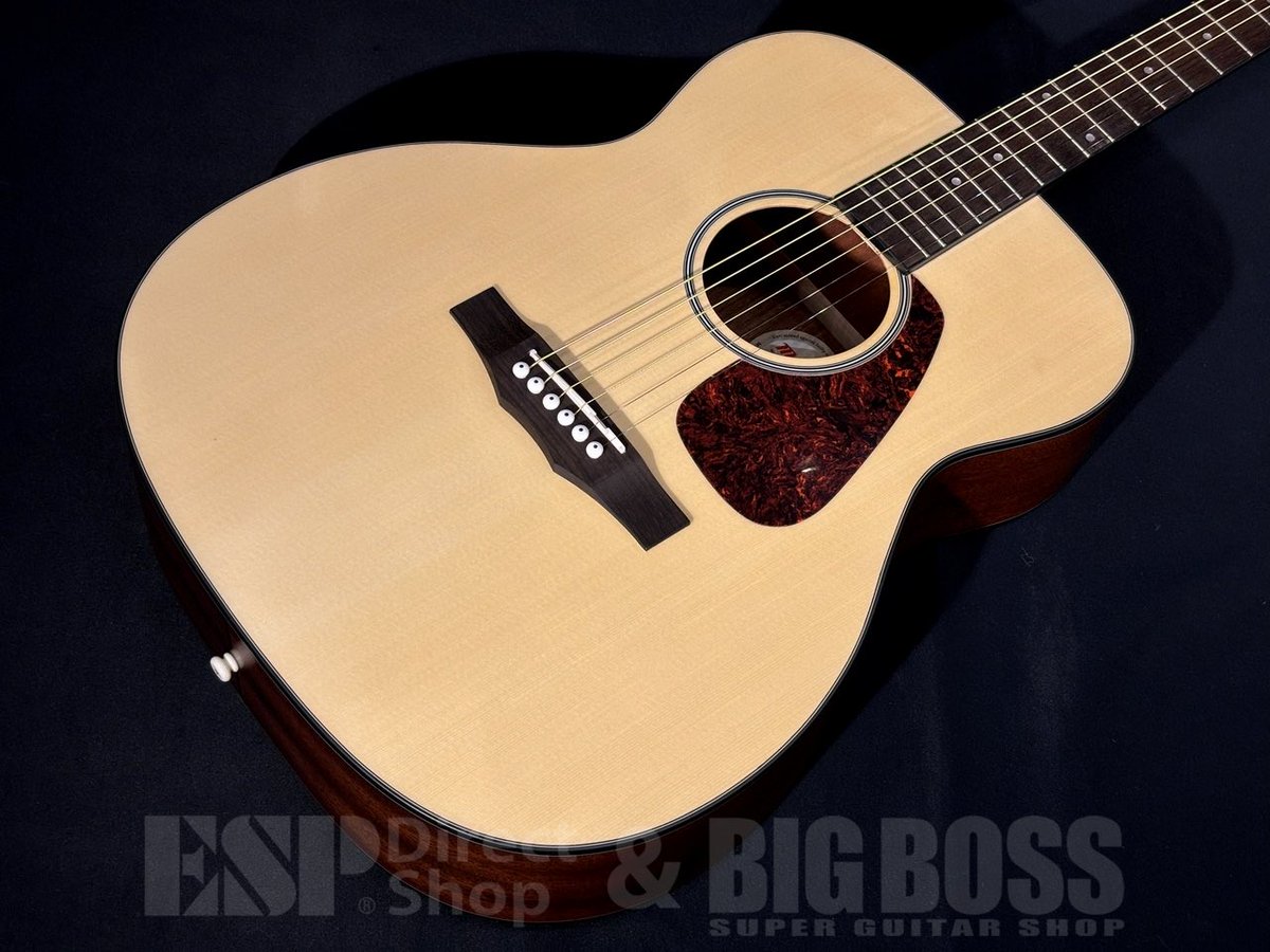 モリスギター MJS-TABUZAKURA #18884 | Deviser ｜株式会社ディ