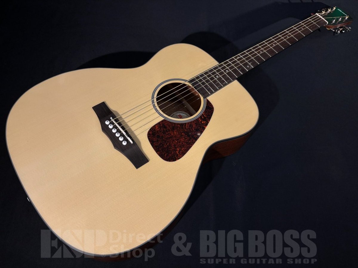 モーリスギター MORRIS GUITARS (@morrisguitars) / Posts / X