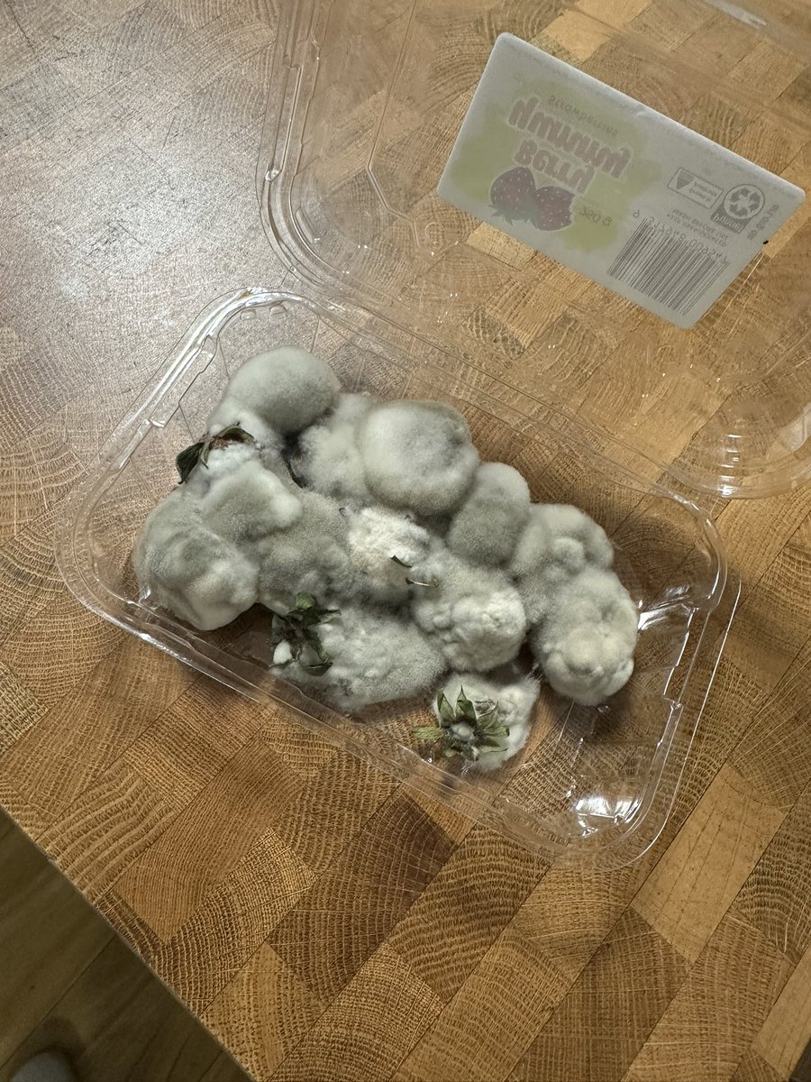My housemates can not be real….