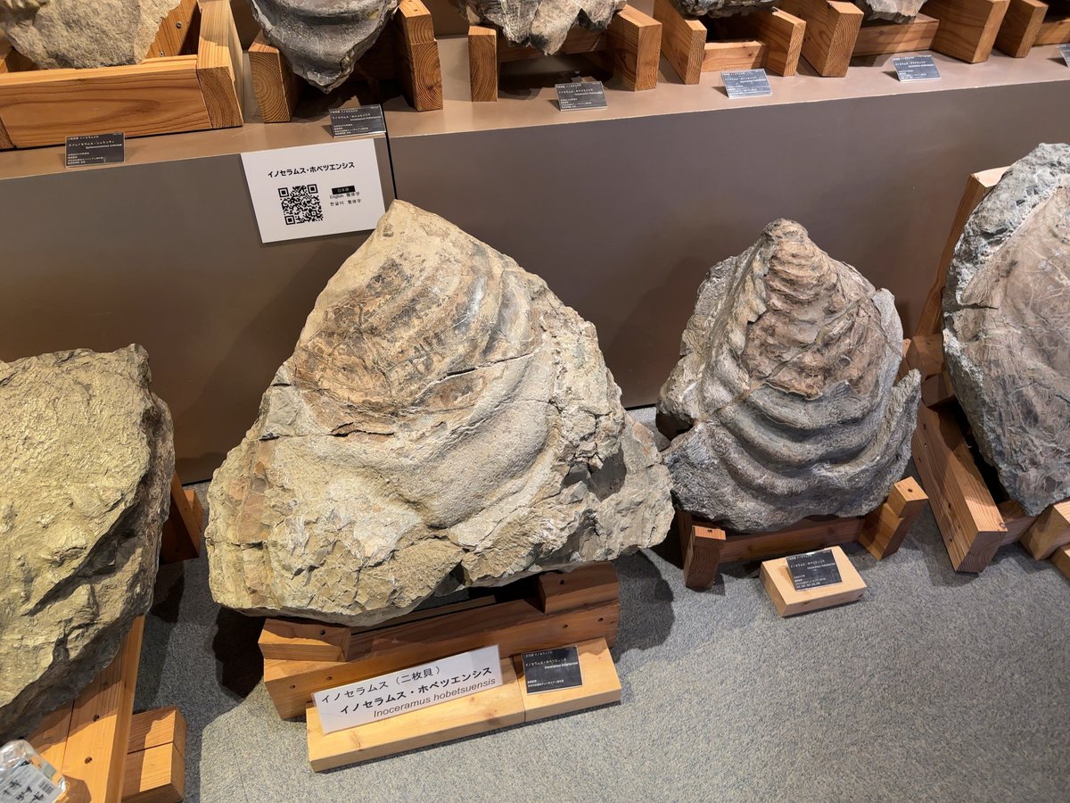 ɐɹnɯıı ıʞoɐu on X