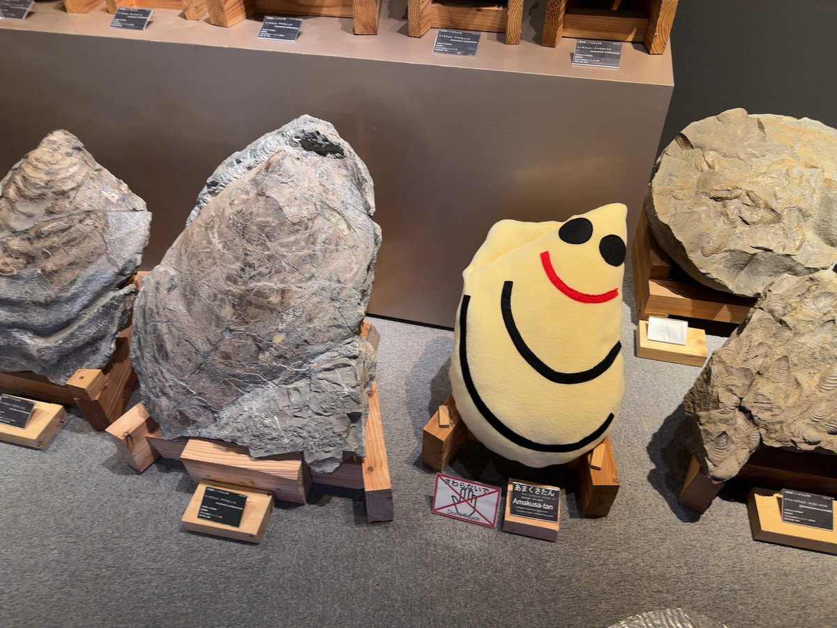 ɐɹnɯıı ıʞoɐu on X