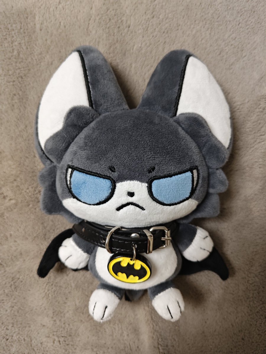 #Batman 
Batcat