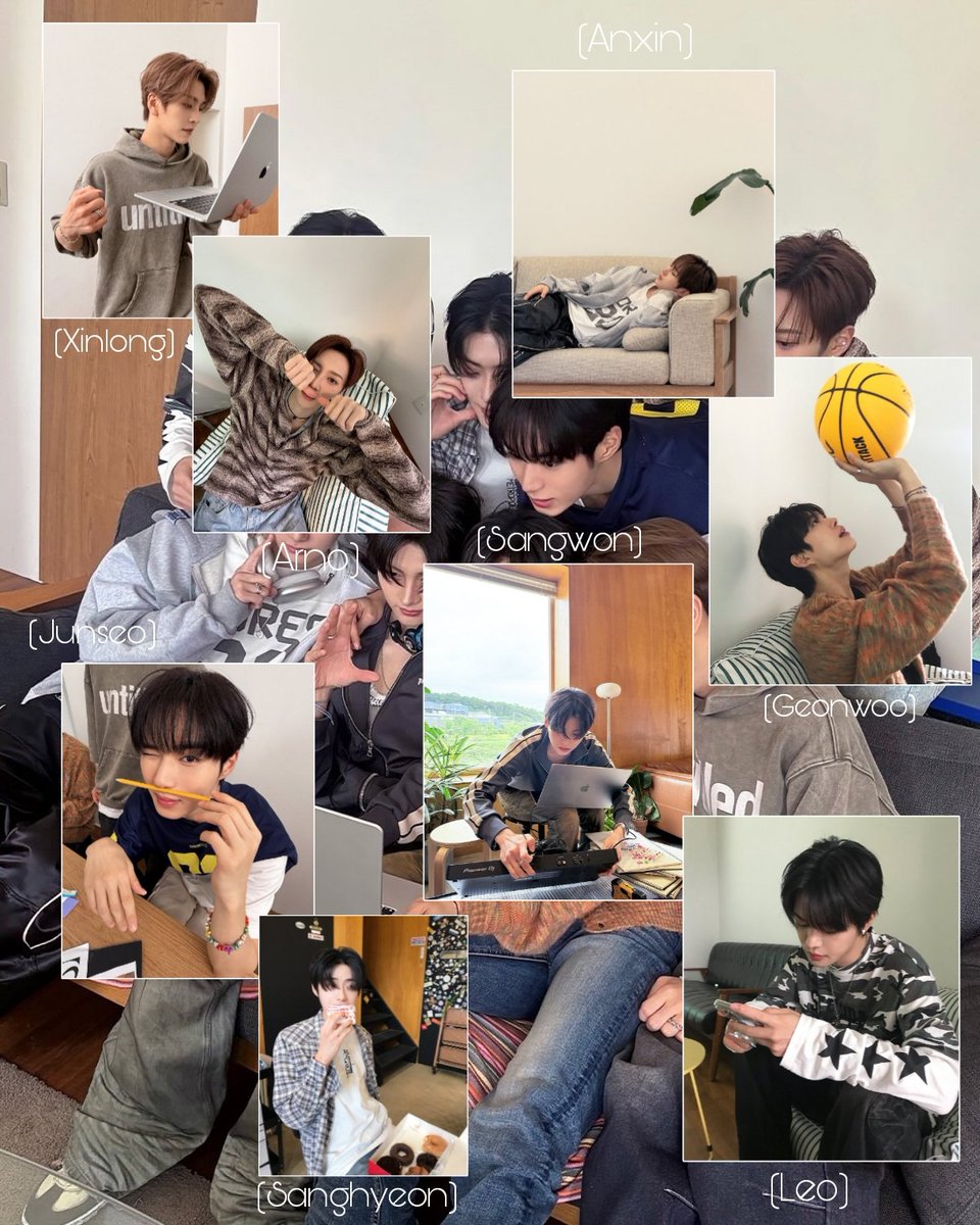 📼 tweet media