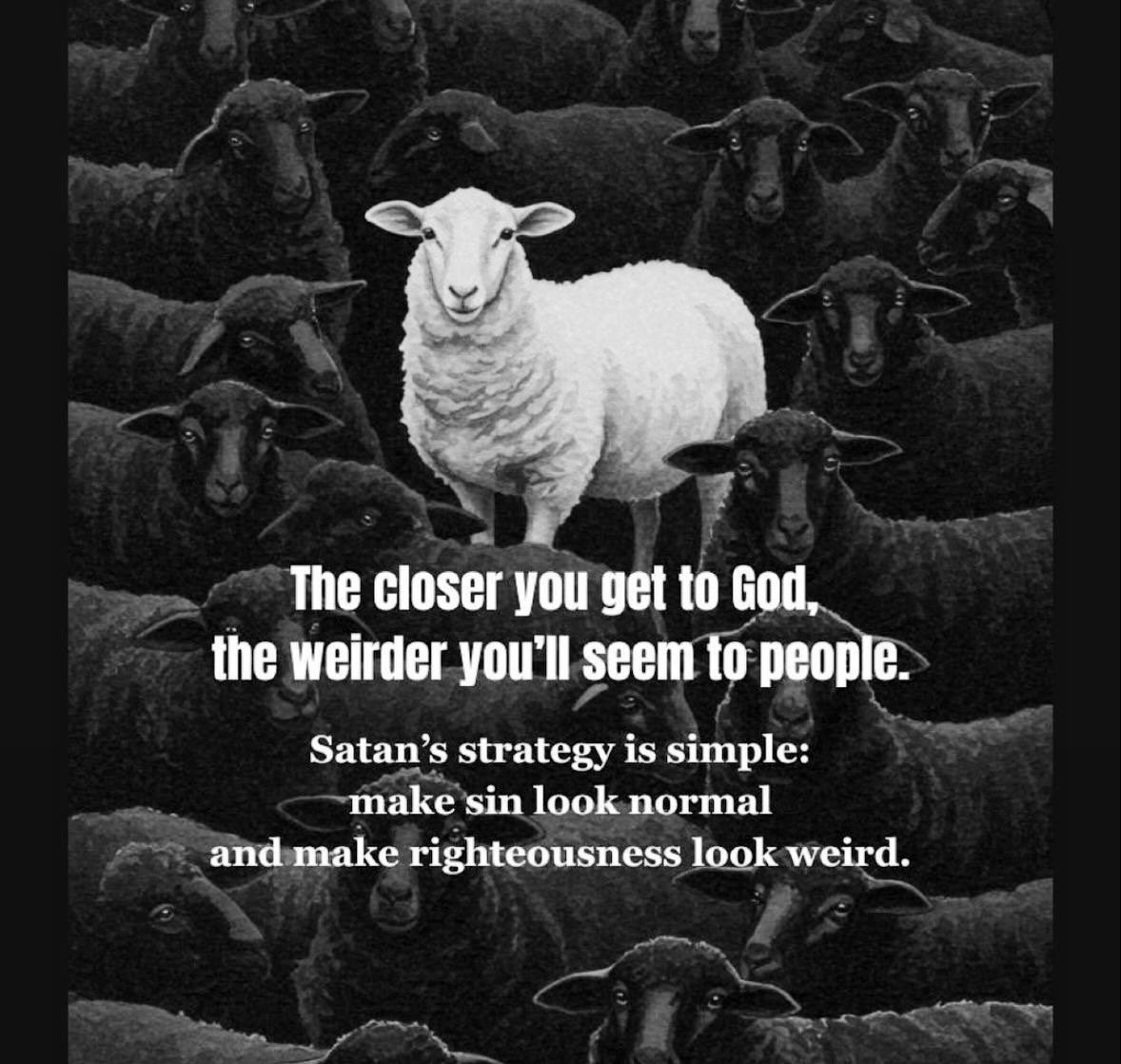 Holy Bible (@Holy__Bible1) on X, image size:1178x1118