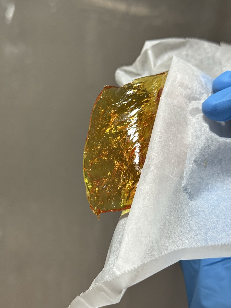 うめぼし (@UmeboshiCenter) / Posts / X