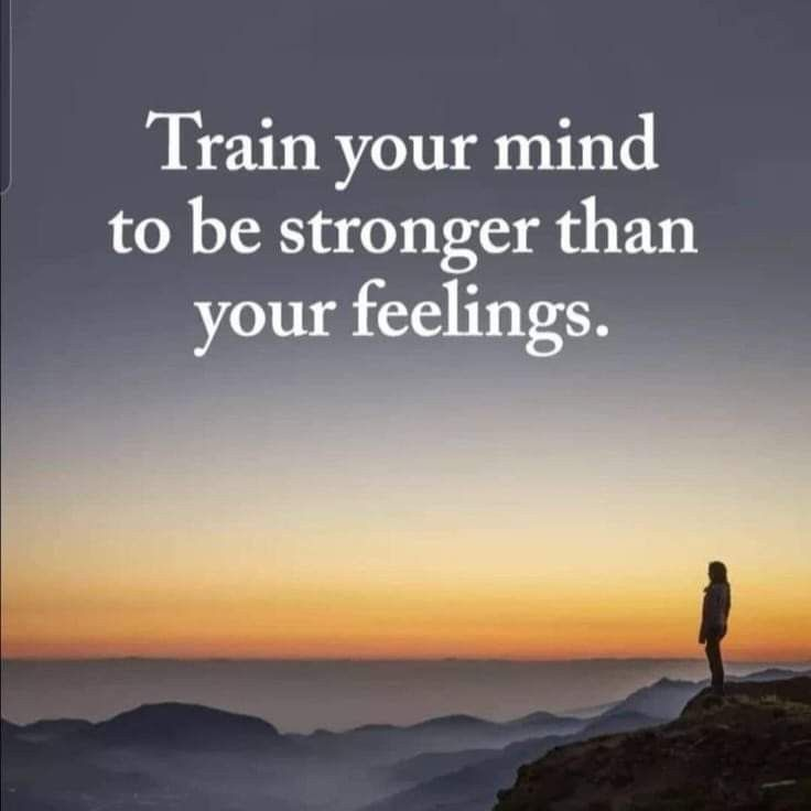 ElaraNotesulo's tweet image. 