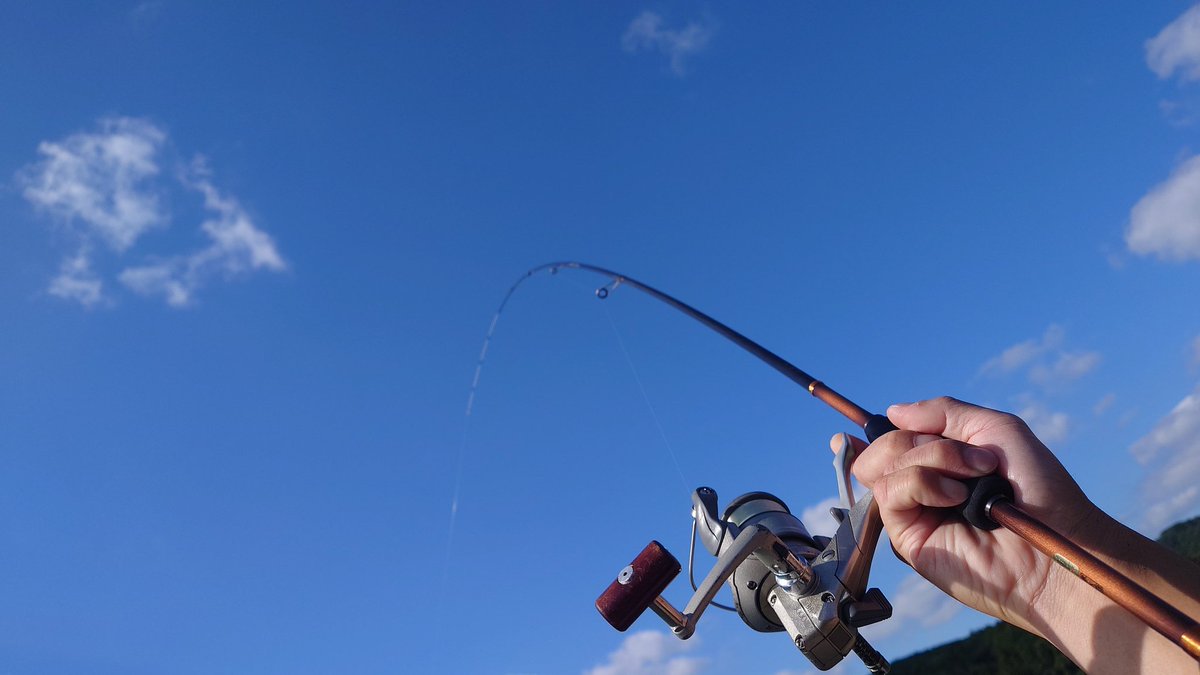 deco様 Dior Fall 2013 Collection | Haddonfield Eyewear