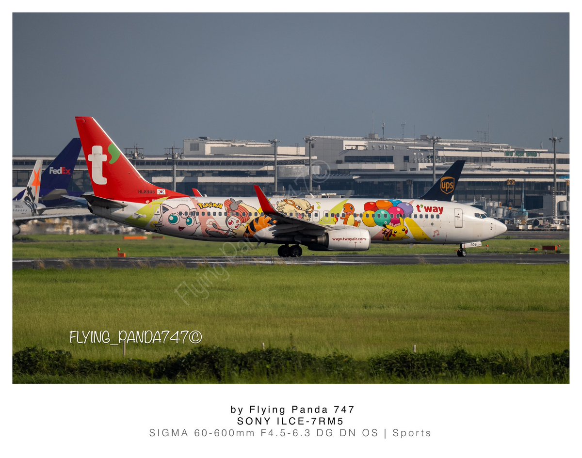 Flying_Panda747's tweet photo. 多分この子が今年一番出会う回数が多かった特別塗装機。
T’Wayのポケモンジェット。
まさか今年最後に関空で再会、SEGAも一緒だった良い思い出。
#avgeek #Pokemon #tway #boeing #b737 #ポケモン #飛行機が有る景色 #SonyAlpha https://t.co/kpFLvPDFjD