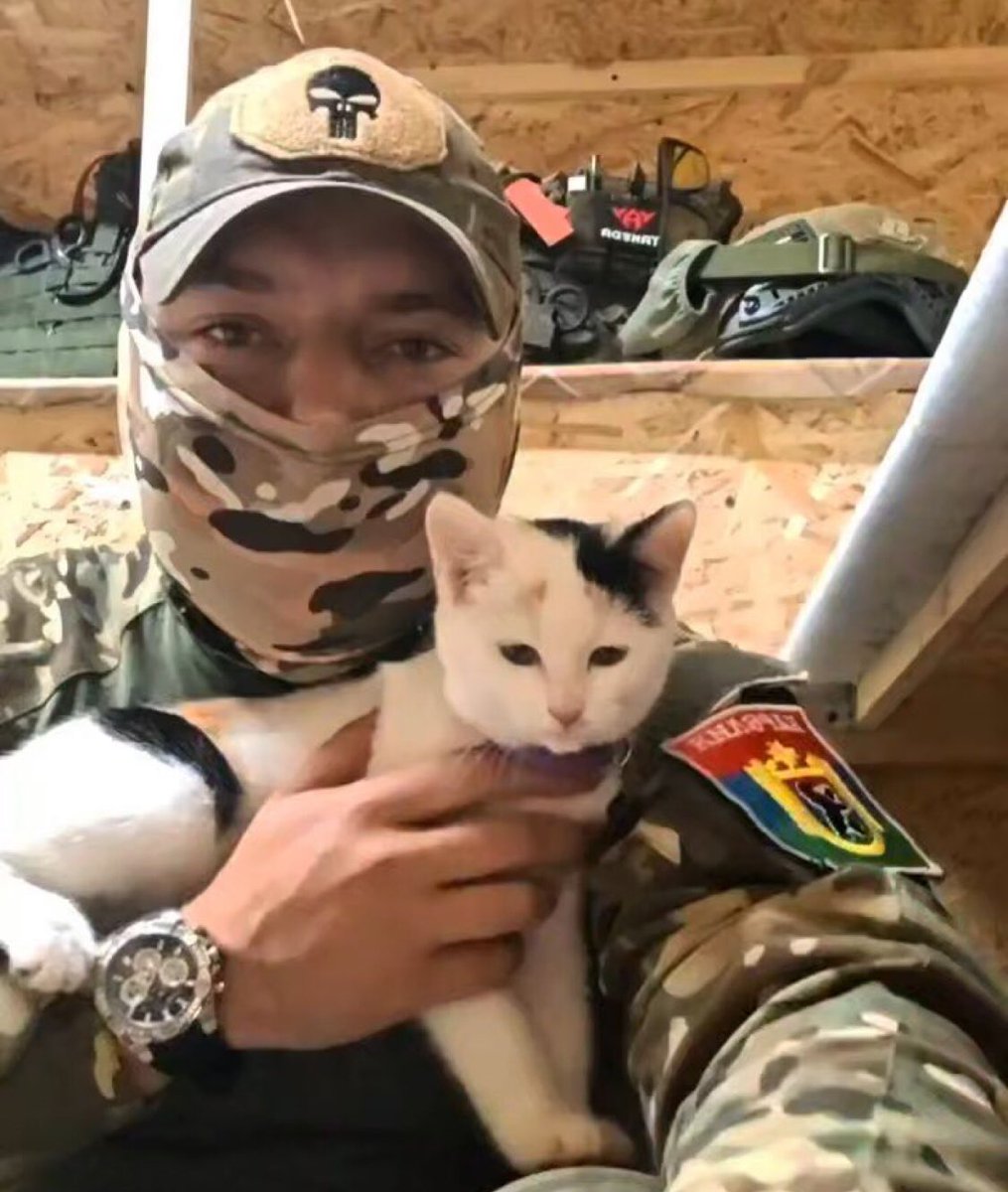 Мурка – пушистый талисман. Месяц назад ребята обнаружили на дороге коробку, в которой находилось маленькое крошечное создание. Бойцы ухаживали за пушистиком, а позже приняли решение взять котёнка к себе. Теперь Мурка, изначально грязная и истощенная, стала настоящей красоткой😼