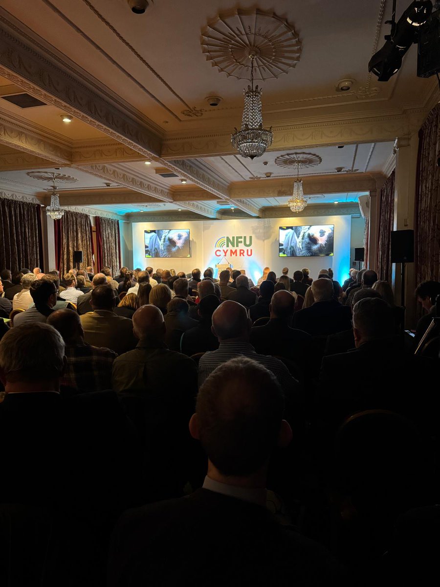 A packed room here at #NFUCymru25. 

Our conference has kicked off with various industry, supply chain, and political speakers taking to the stage.

Mae ein cynhadledd wedi dechrau gyda gwahanol siaradwyr o'r diwydiant, y gadwyn gyflenwi a'r byd gwleidyddol yn camu ar y llwyfan