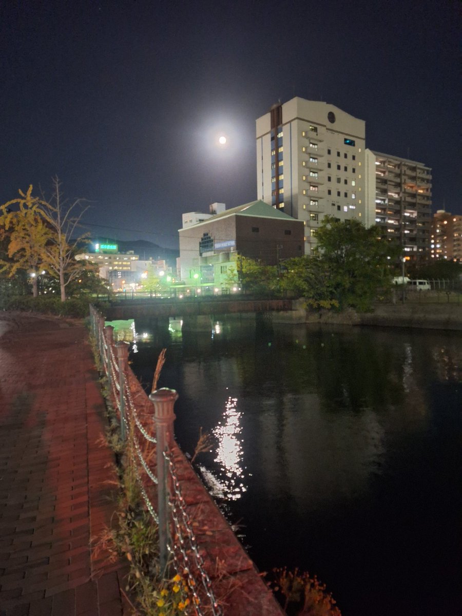 けんけん様 けんけんﾎﾞﾗｷﾞﾉｰﾙ/KZ1000 (@chu2blues) / Posts / X