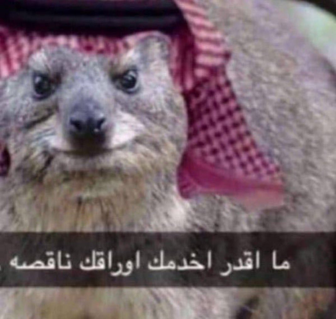 بوت التيلقرام اذا قفطك حاذف القنوات اللي غصبك تدخلها