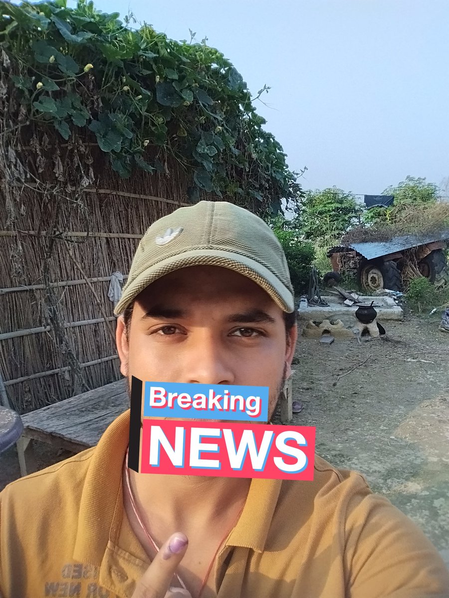 🐶💙 tweet media