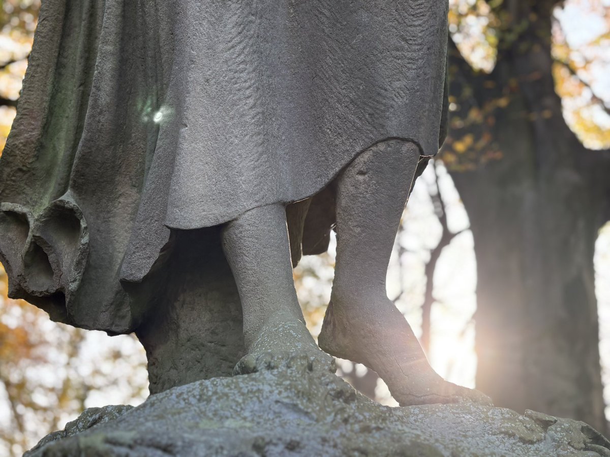 Early walk in Calderstones Park this morning <a href="/CaldiesSaved/">Calderstones Park Forever</a> <a href="/liverpoolweath/">Liverpool Weather</a> #Autumn #November #Caldies #exercise