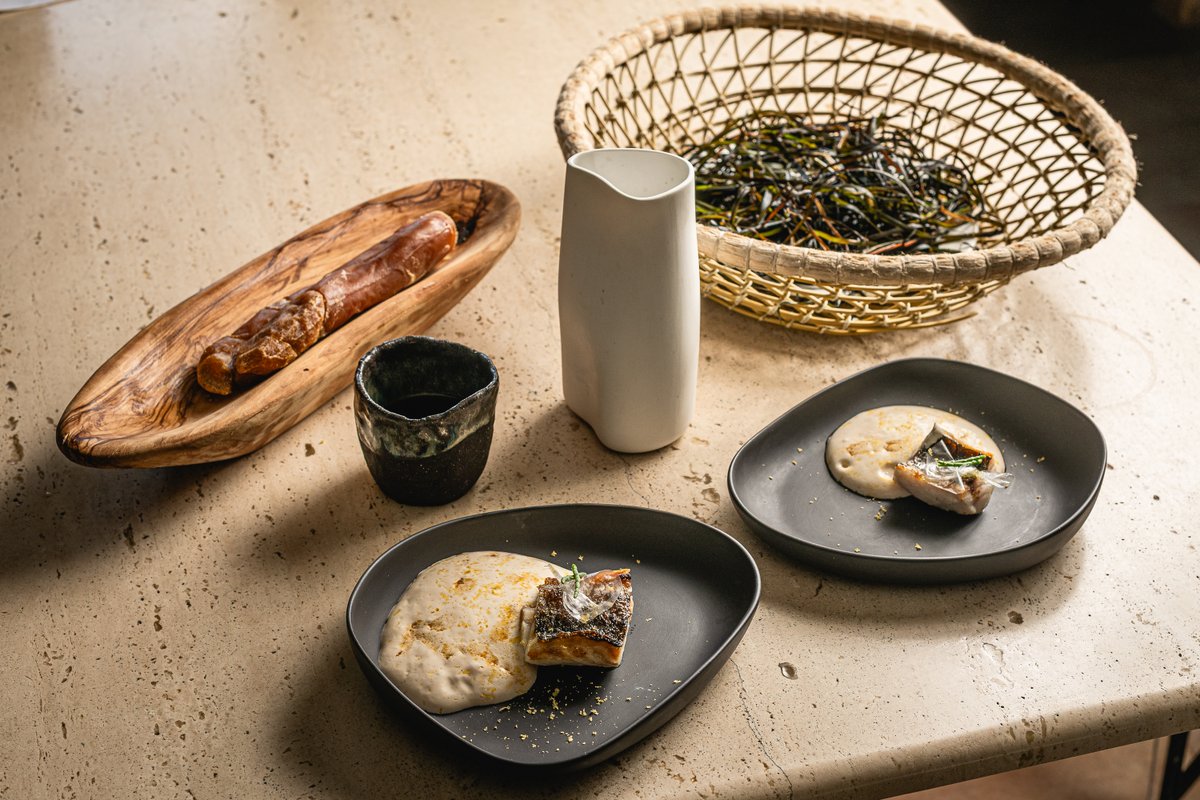 Conciencia marina 🌊
Mújol con emulsión de morralla e infusión de planta marina.

Consciencia marina 🌊
Lliçal cabeçut amb emulsió de morralla i infusió de planta marina.

#EstrellaVerde #GuiaMichelin2025 #AlgadirDelDelta #SomGastronomia