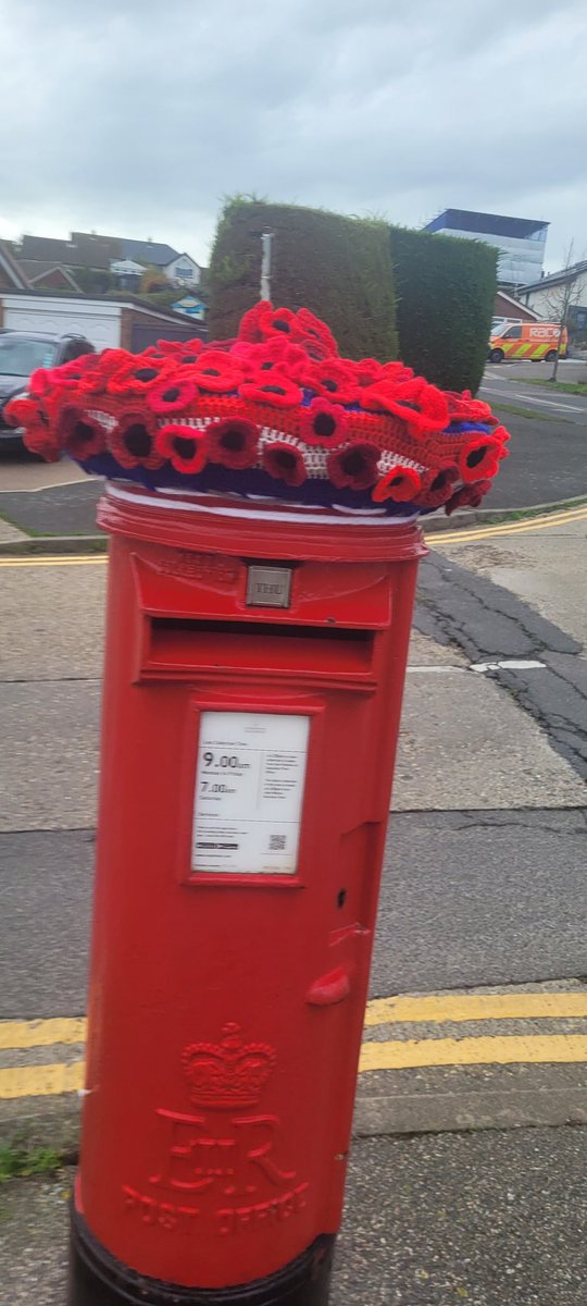 Brian Vanderhook tweet media