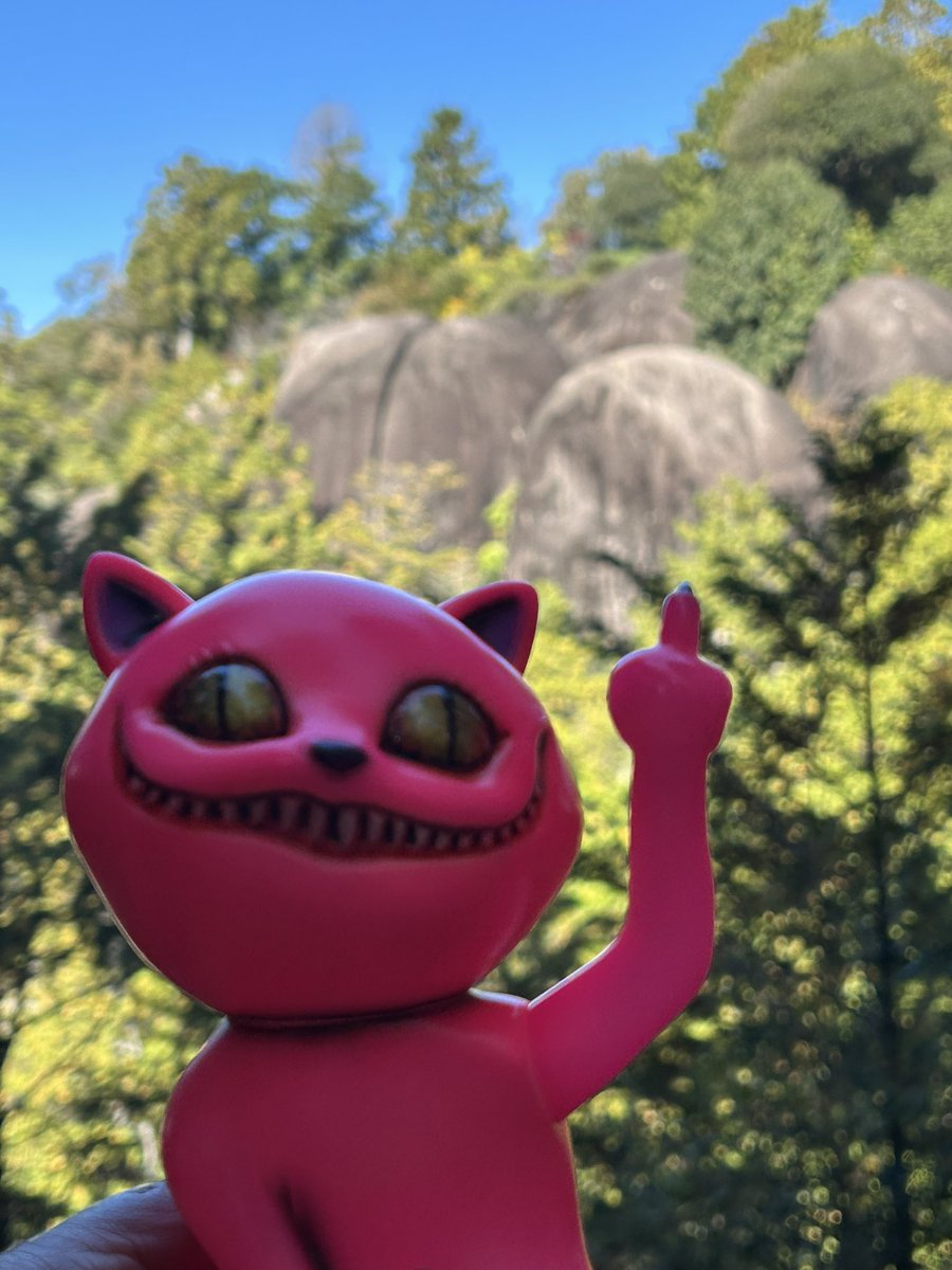 かっこわらい雑貨店 TAMA タマ 緑 付き かっこわらい雑貨店 on X