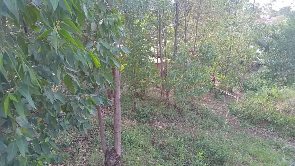 HouseInRwanda's tweet image. 🏠Kigali Land for sale in Rebero💸 

💸Price: 100,000,000 Rwf
🌄Property type: Land
📐Plot size: 1000.00 m² 

For further details:👇houseinrwanda.com/property/sale/… 

Contact name:👨‍💼Derick Karimba

#plot #sale #kigali