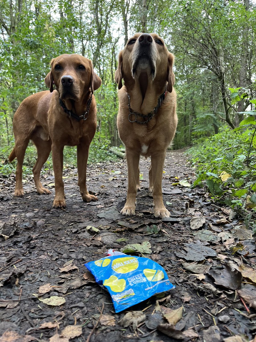 Be remembered for the smile you left on a friend’s face

For the laugh of a child

For the way you made someone feel

NOT the litter you left on a street or the animal that it injured.

If we REALLY love animals we don’t drop #litter and we pick up some when we can #dogsofx