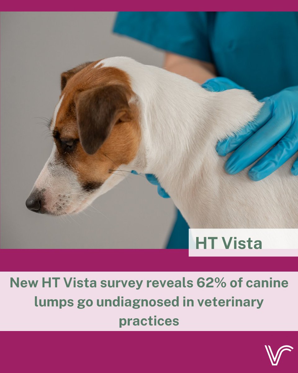 Vet Report tweet media