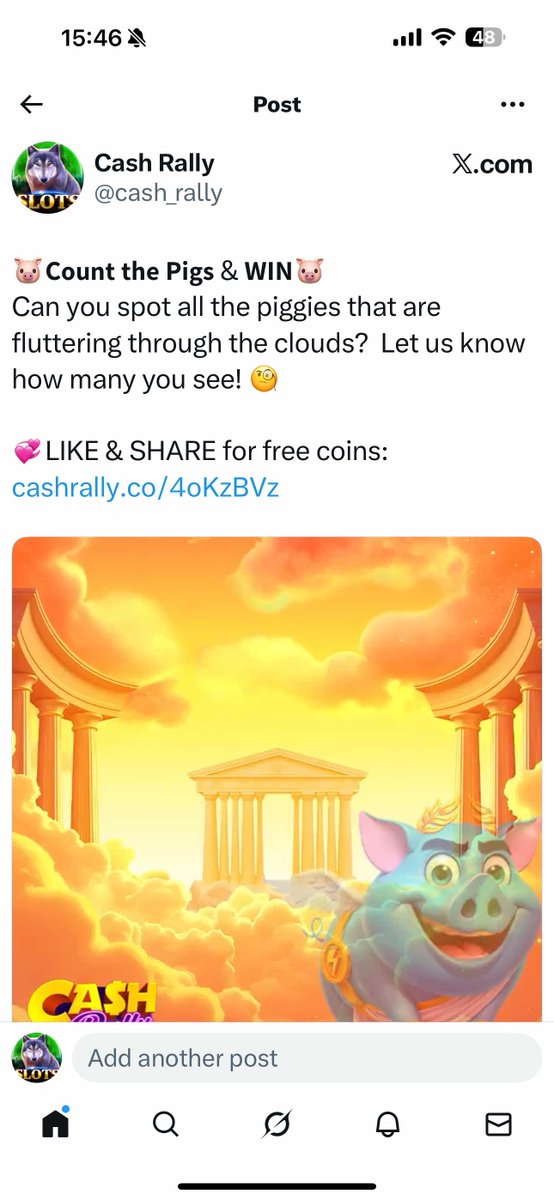 Cash Rally tweet media