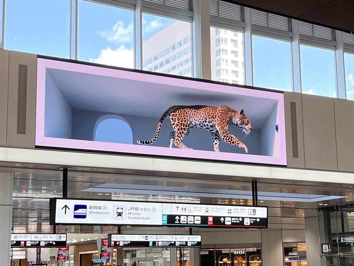 sunnyページ sunnysunny on X