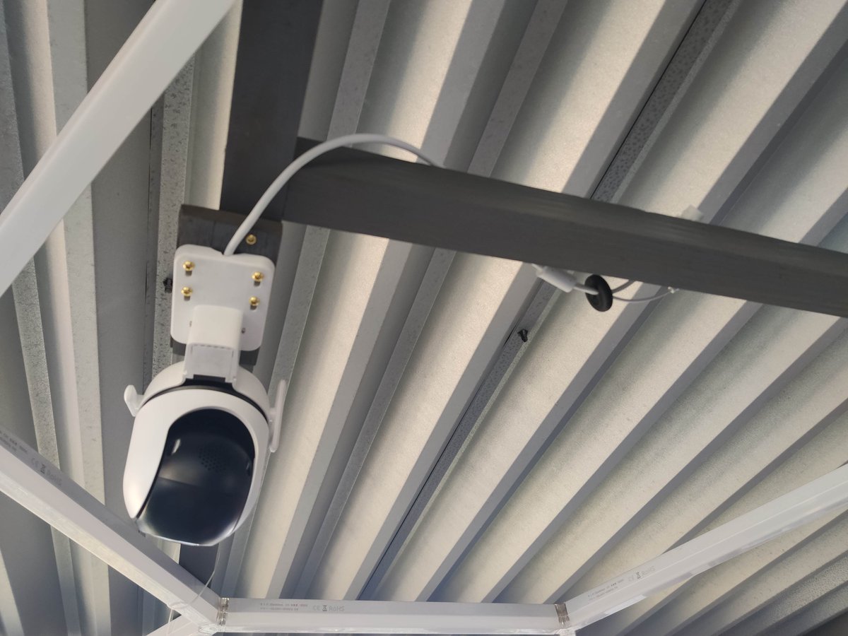 JJ 🦌🐸 (@JJUber6) / Posts / X