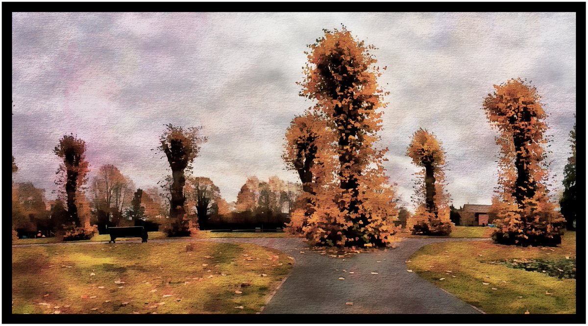 Victoria Park, Newbury. Pollarded Autumn Trees.