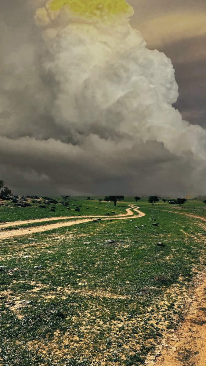 #الخميس_الونيسᅠ

قلوبنا تشفق على شووووف الغيوم
وعلى دنين الرعـــــد وامزون المطر