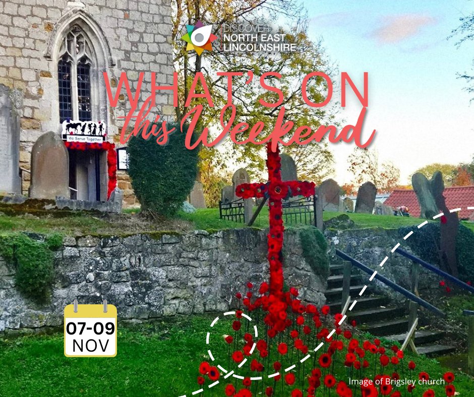 DiscoverNEL tweet media