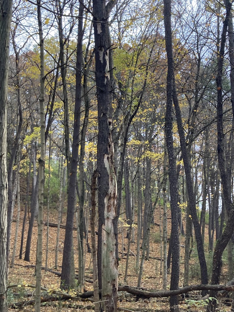 <a href="/mephisto2102101/">mephisto2102</a> Embrace the fall