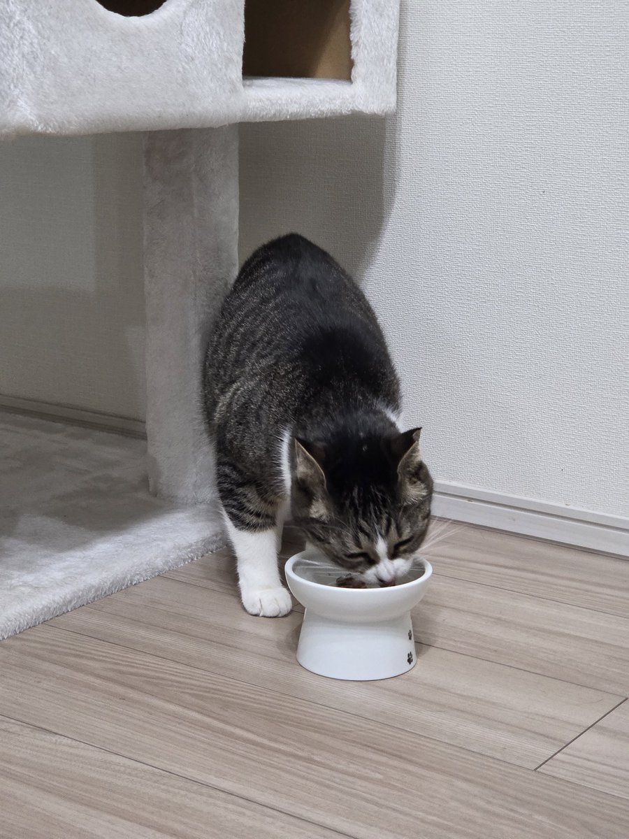 つくねページ main01-2023-05-18T171915.730.