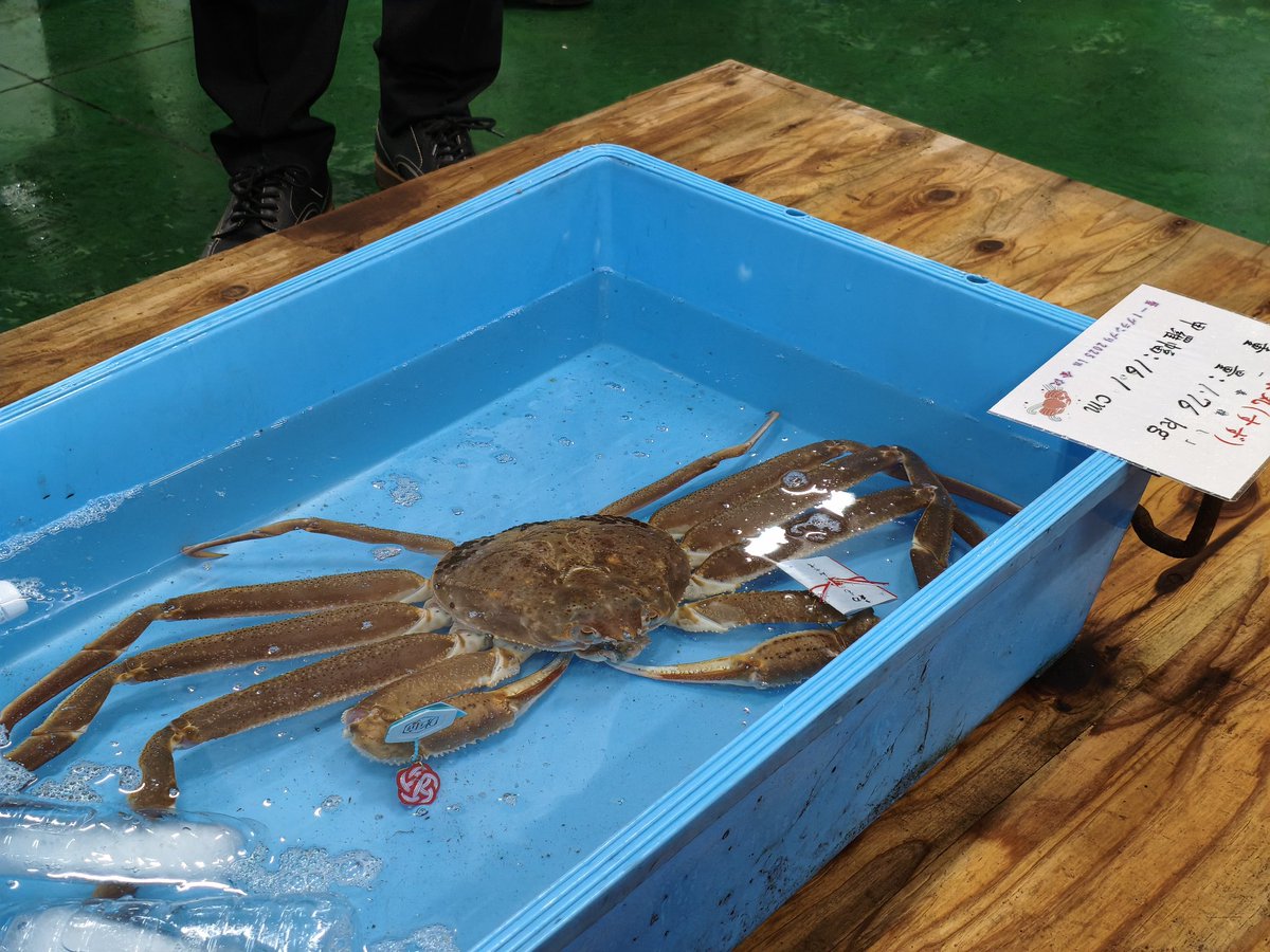 ☆　発送：７日～│Yoshi様│ミネラルC２＆L２ 他１２点　CL2E6T3 1,2,3,4,5,6,7